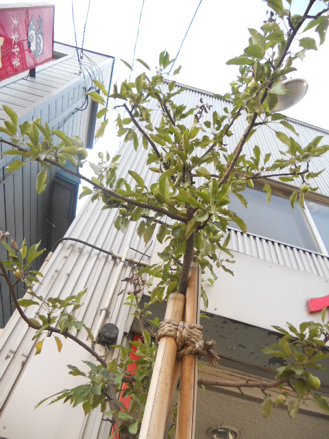 �t�͕P�����S����������Ԃ��炩���܂���